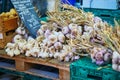 Large heap of fresh ripe organic garlic on farmer market in Cucuron, France