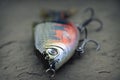 Large, heavy fishing glider lure plug for muskies Royalty Free Stock Photo