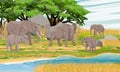 Large herd of African bush elephants and baby elephants on the shore of the river in the African savannah