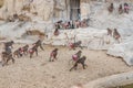 herd of female baboons with red swollen folds of skin around the buttocks signaling readiness for mating and conception and Royalty Free Stock Photo