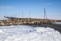 A large herd of reindeer crossing the road Royalty Free Stock Photo