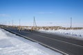 A large herd of reindeer crossing the road Royalty Free Stock Photo