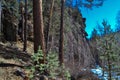 Large high rough climbing rock Vityaz in Siberian forest with conifers in winter in the light of sun. Snow