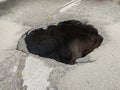 Large hole in the asphalt, sinkhole