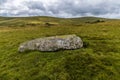 A large horizontal standing stone at Waun Mawn source of the stones for Stonehenge in the Preseli hills in Pembrokeshire