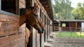 Large horse farm stable exterior.