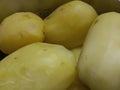 Large hot cooked potatoes