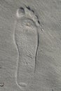Large human footprint