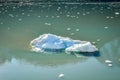 Large iceberg and many tiny pieces floating and melting away