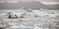 Large icebergs detached from the tongue of a glacier reaching the coast, in Iceland, paradise for adventurers