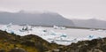 Large icebergs detached from the tongue of a glacier reaching the coast, in Iceland, paradise for adventurers