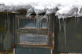 Large icicles on the roof near a small window in an old country house on a winter day, thaw, early spring Royalty Free Stock Photo