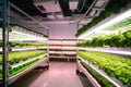 A large indoor hydroponic system with a green plant inside