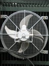 Large industrial fan