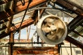 Large, industrial type cooling fan seen working in a tropical greenhouse.