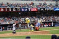 Zooperstars annoy baseball umpire during intermission