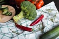 A large inflorescence of broccoli, a green squash and two red chili peppers are lying on the plaid tissue. in the Royalty Free Stock Photo