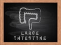 Large intestine icon on blackboard flat design.
