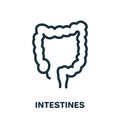 Large Intestine Line Icon. Colon Linear Pictogram. Bowel Concept. Internal Digestive Human Organ Outline Icon. Editable