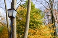 A large iron metal black high street lamp lighting in the park on a background of autumn yellow trees and leaves. The background Royalty Free Stock Photo