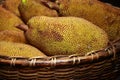 Large jack fruit with large spikes at market in India Royalty Free Stock Photo