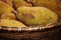 Large jack fruit with large spikes at market in India Royalty Free Stock Photo