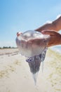 A large jellyfish in the hands of a girl at sea Royalty Free Stock Photo