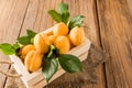 Large juicy apricots in a wooden box with rope handles on a village table. seasonal fruits. ingathering