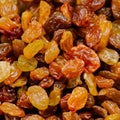 Large juicy raisins