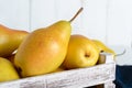 Large juicy yellow pears in a rustic wooden fruit box on a white table. Royalty Free Stock Photo