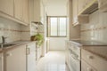 Large kitchen with nooks, plants and red granite simile countertop