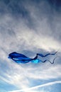 A large kite of blue color