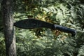 A large kukri knife in the forest in summer against the backdrop of a fern
