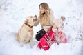 A large labrador dog and a cat in winter on a walk with a young woman in a snowy field Royalty Free Stock Photo