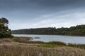 Large lagoon just inland of oceanfront on a stormy day, dark overcast skies, Hunting Island South Carolina