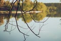 Large lake in a forest clearing Royalty Free Stock Photo