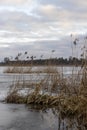 a large lake in winter in the morning during sunrise Royalty Free Stock Photo