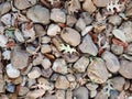 Large Landscape Rocks and Leaf Background