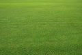 The Large lawn, Grass field, Grass texture background. Grass surface for product display arrangement. Green Background,
