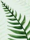 Large leaf fern tropical watercolor background