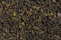 Large leaf milk oolong chinese green tea. Royalty Free Stock Photo