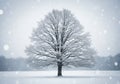 A large, leafless tree stands alone in a snowy landscape. Covered Royalty Free Stock Photo