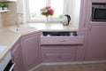 Large light pink kitchen. Interior of a pink kitchen. Wooden Kitchen