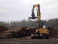 A large loader of logs at a sawmill of coniferous trees Royalty Free Stock Photo