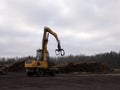 A large loader of logs at a sawmill of coniferous trees Royalty Free Stock Photo