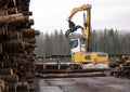 A large loader of logs at a sawmill of coniferous trees