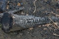 A large log of charred in a black ashes lies in an extinct pyre