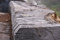 Large log of old wood in the forest with cut marks and textured surface, selective focus Royalty Free Stock Photo