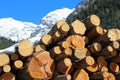 large logs cut by loggers in the mountains Royalty Free Stock Photo