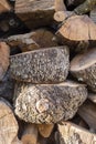 Large logs of wood for the stacked fireplace Royalty Free Stock Photo